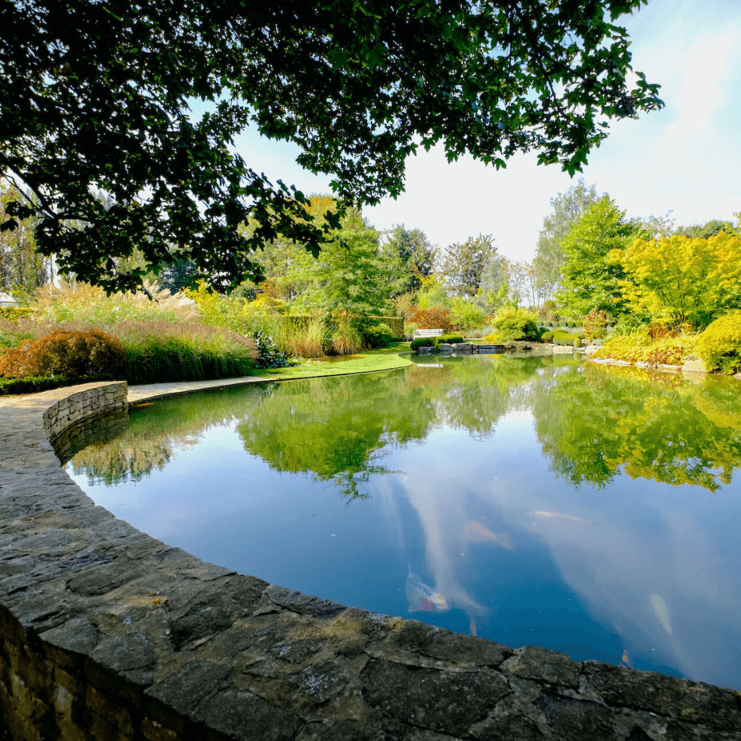 Idée-Ô - Gem nestled in Haut-Ittre
