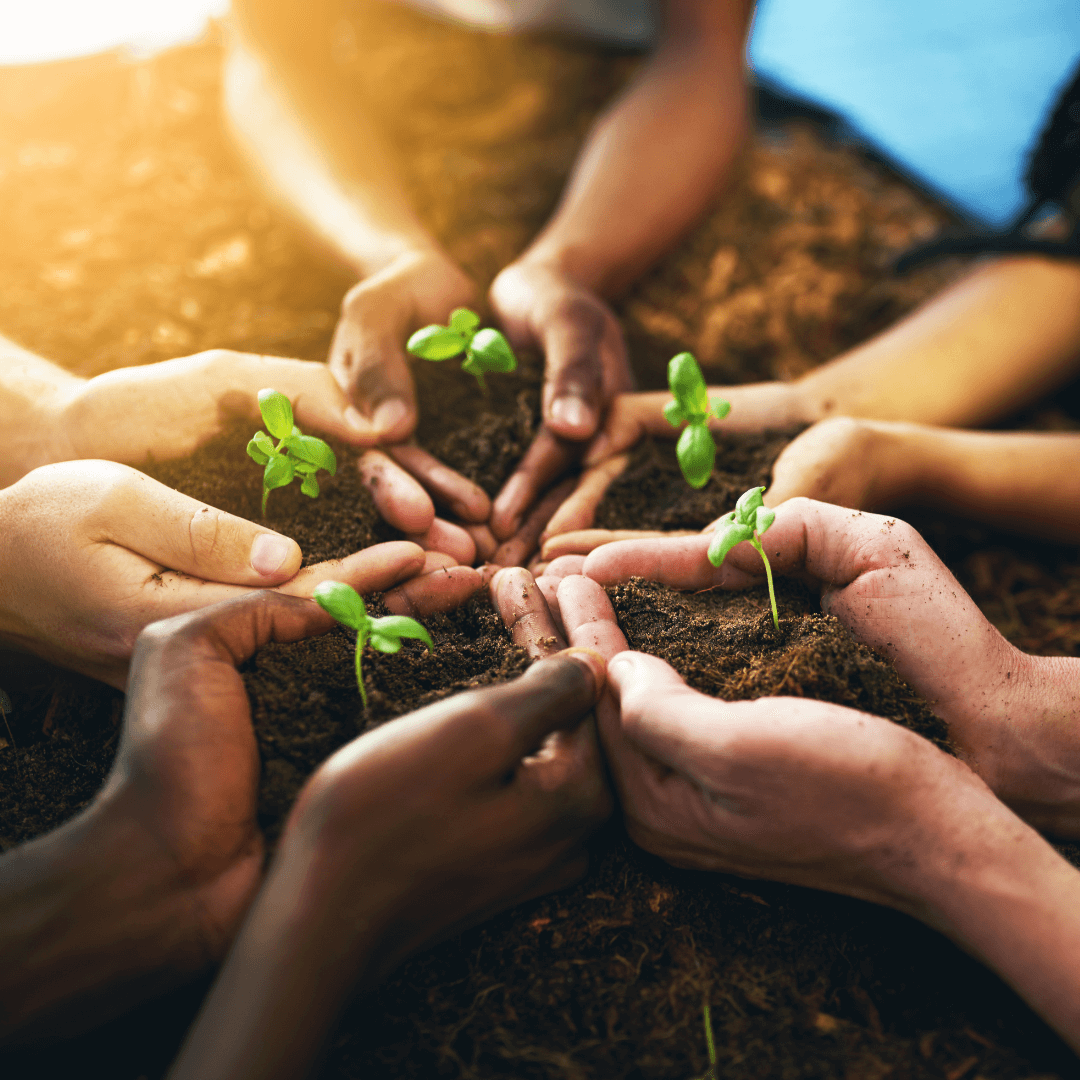 Metabolism - Sustainability movement